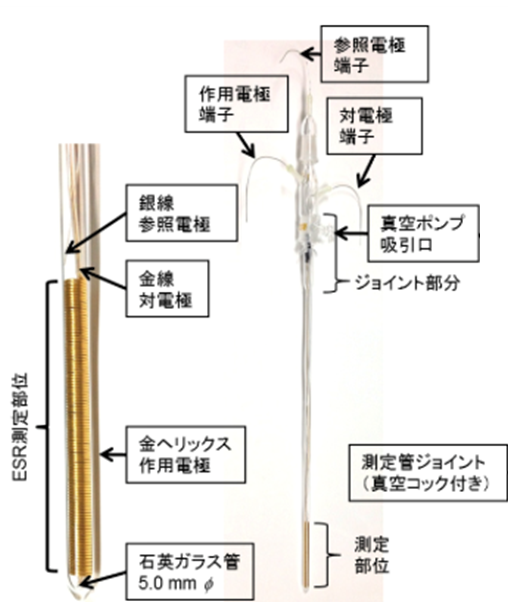 金ヘリックス電解ESRセル電極拡大図および外観